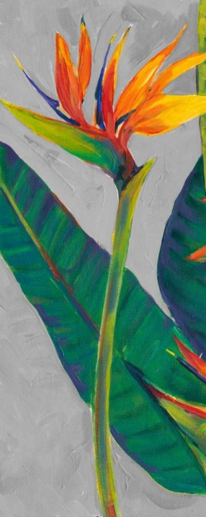 Picture of BIRD OF PARADISE TRIPTYCH I
