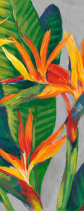 Picture of BIRD OF PARADISE TRIPTYCH II