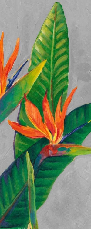 Picture of BIRD OF PARADISE TRIPTYCH III