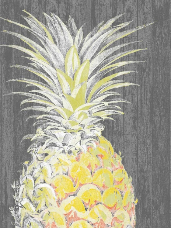 Picture of VIBRANT PINEAPPLE SPLENDOR I