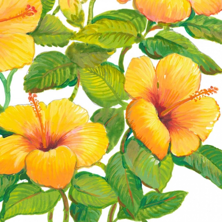 Picture of WATERCOLOR HIBISCUS IV