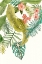Picture of SOFT TROPICS II