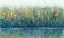 Picture of WILDFLOWER REFLECTION I