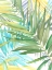 Picture of TROPICAL PATTERN II