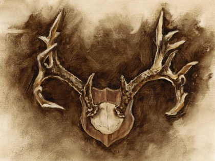 Picture of RUSTIC ANTLER MOUNT I