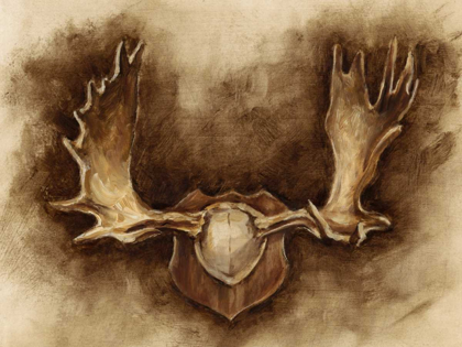 Picture of RUSTIC ANTLER MOUNT II