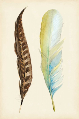 Picture of PLUMAGE II