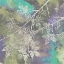 Picture of MAPLE EXTRACTION II