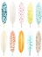Picture of FEATHER PATTERNS II