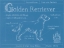 Picture of BLUEPRINT GOLDEN RETRIEVER