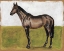 Picture of EQUESTRIAN STUDIES IV