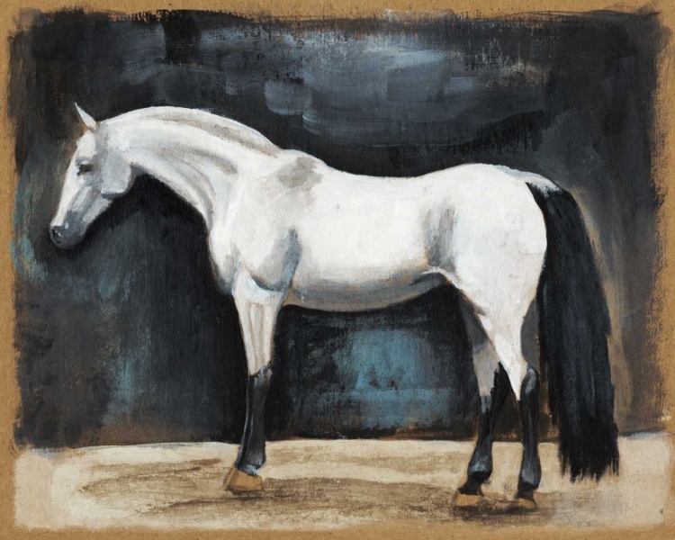 Picture of EQUESTRIAN STUDIES VI