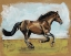 Picture of EQUESTRIAN STUDIES I