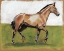 Picture of EQUESTRIAN STUDIES III