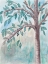 Picture of SHADE TREE 1