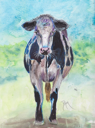 Picture of MAPLEVIEW COW