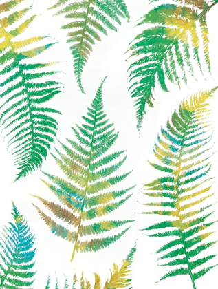 Picture of BRIGHT FERNS