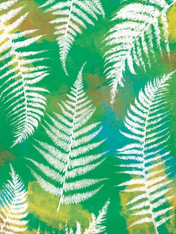 Picture of BRIGHT FERNS MATE