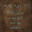 Picture of SALVATION BROWN