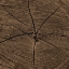 Picture of DARK RINGS