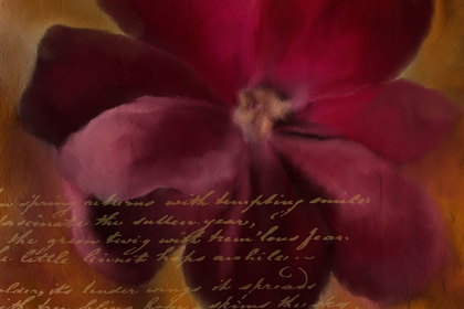 Picture of BLOOMING SPICE