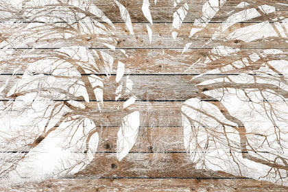 Picture of MY BRANCHES