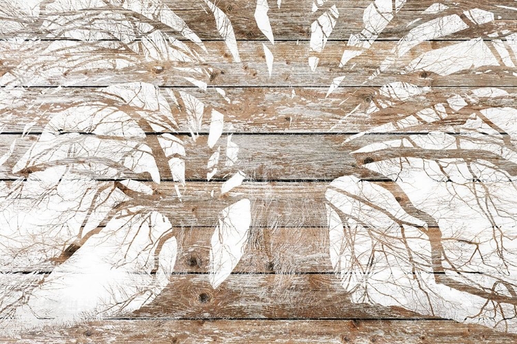 Picture of MY BRANCHES