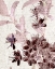 Picture of CHERRY BLOSSOM PLUM 1