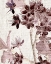 Picture of CHERRY BLOSSOM PLUM 2