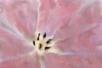 Picture of TULIP CENTER