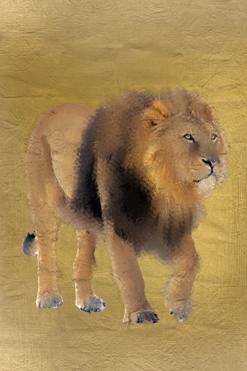 Picture of LION GOLD