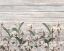 Picture of COTTON DAYS 10