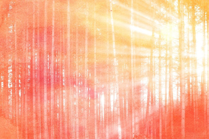 Picture of FOREST BRIGHTS