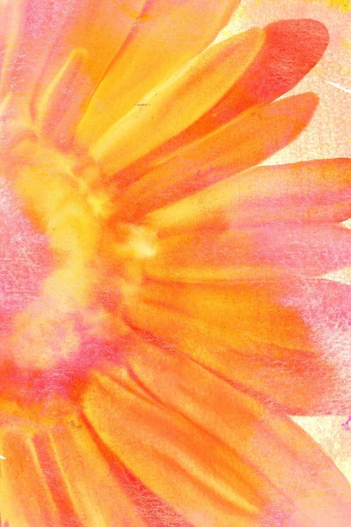 Picture of BLOOMING BRIGHT