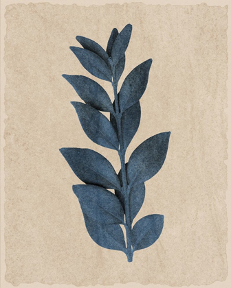 Picture of BLUE LEAF PRINT 1