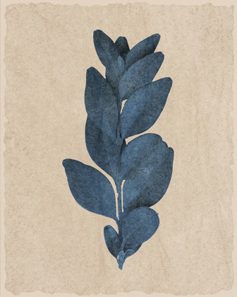 Picture of BLUE LEAF PRINT 3
