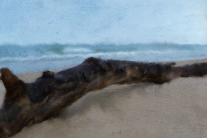 Picture of DRIFTWOOD