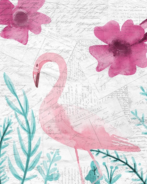 Picture of FLAMINGO MAIL 2