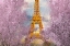 Picture of PARIS IN BLOOM