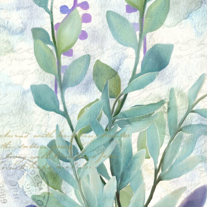 Picture of WATERCOLOR FLORAL 6