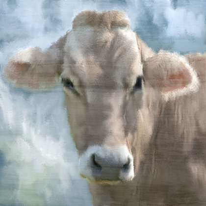 Picture of BESSIE