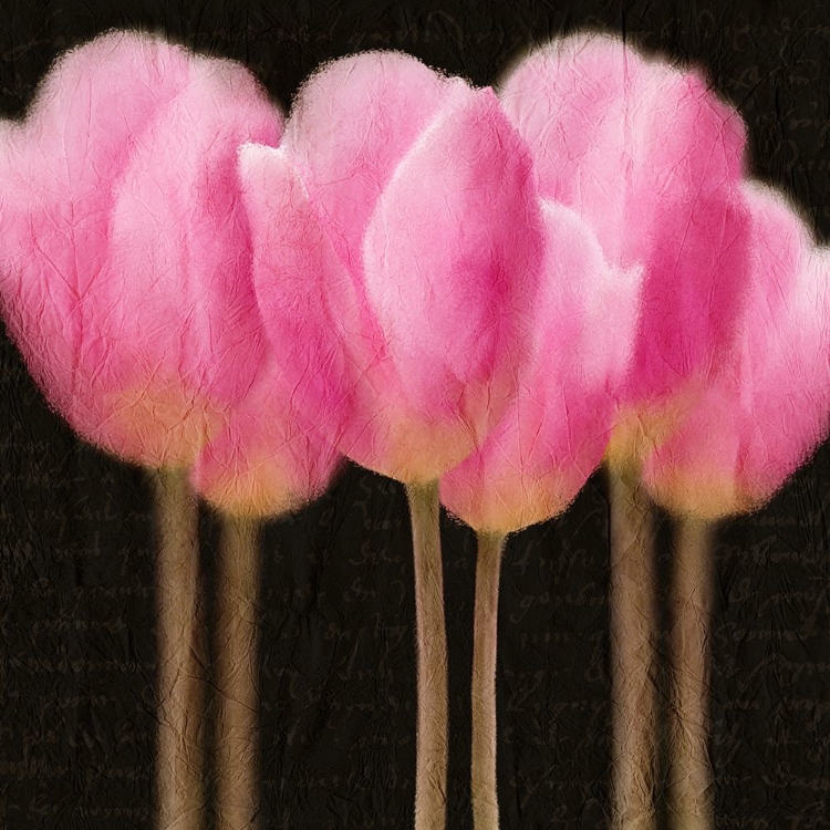 Picture of PINK TULIPS
