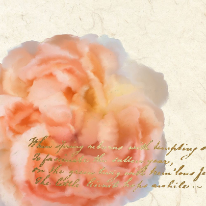 Picture of SPRING BLOOMING PEACH