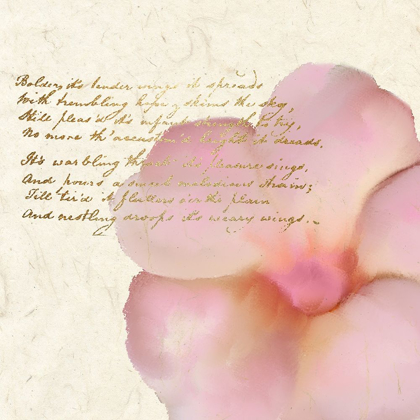 Picture of SPRING BLOOMING PINK