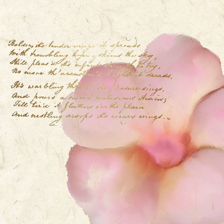 Picture of SPRING BLOOMING PINK