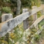 Picture of WILDFLOWER FENCE LINE