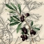 Picture of OLIVE BRANCH 2