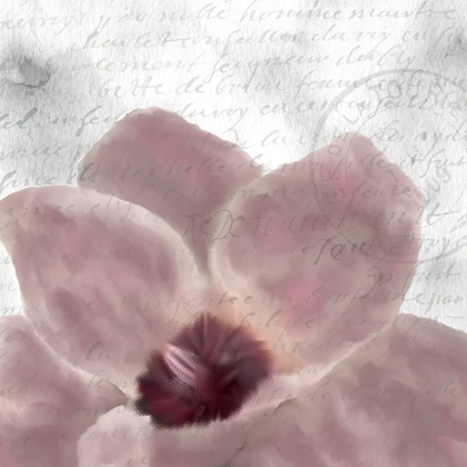 Picture of MAGNOLIA BLOOM 1