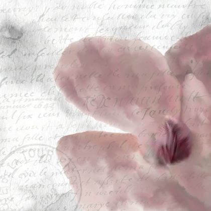 Picture of MAGNOLIA BLOOM 2