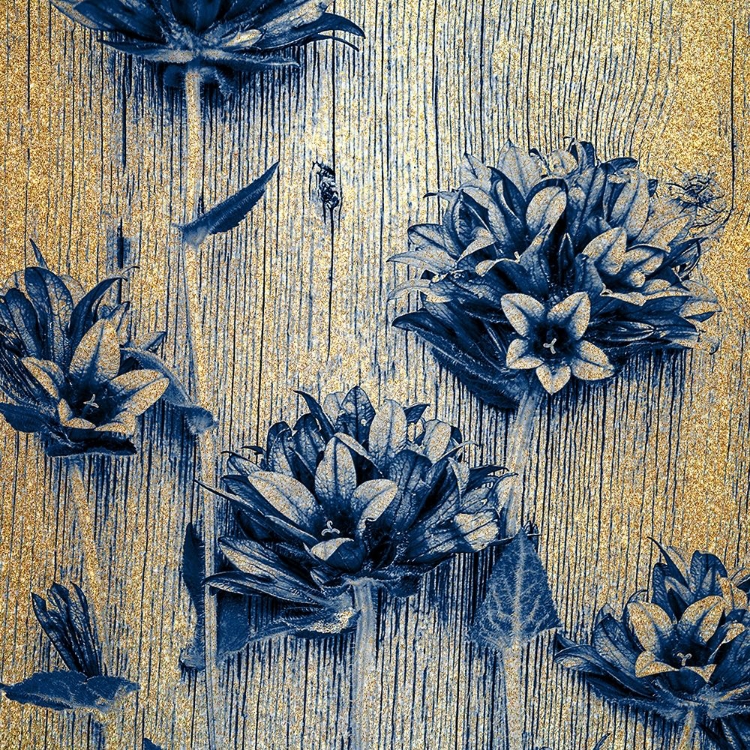 Picture of INDIGO GOLD 1